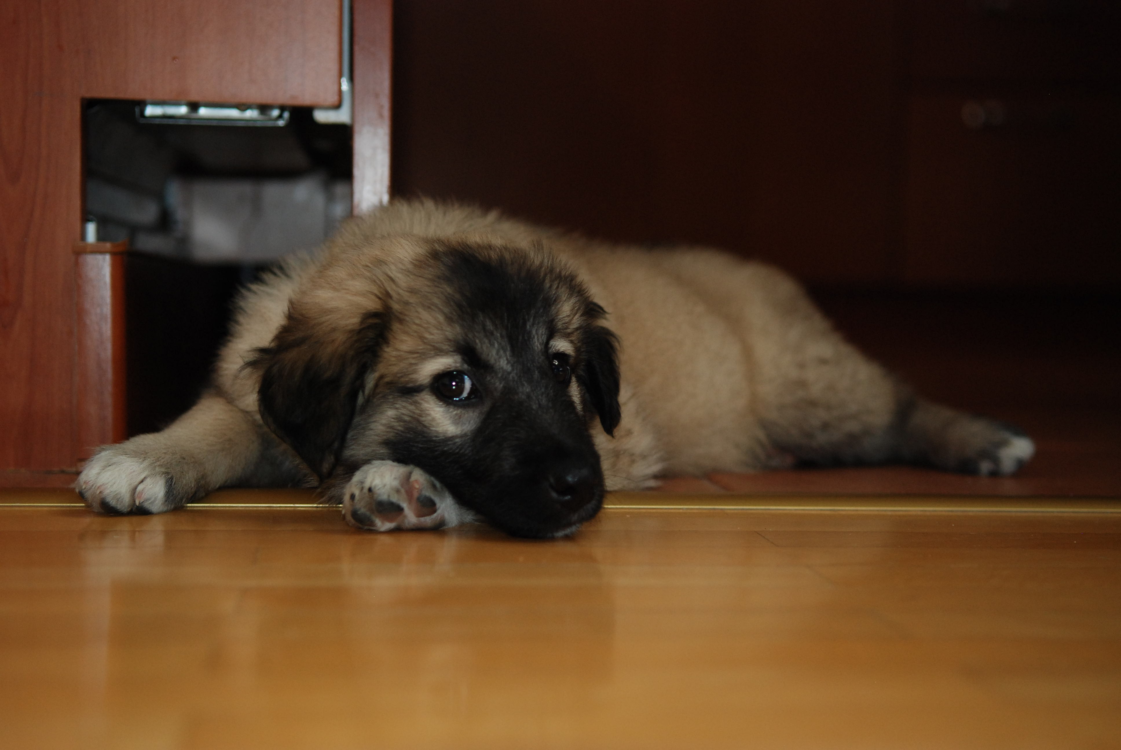 DSC_1787.JPG