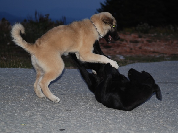 DSC_2304.jpg
